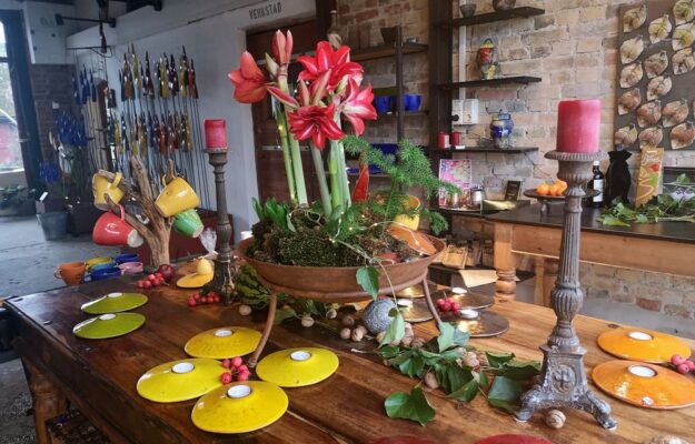 2 img 20211209 090020 resultat