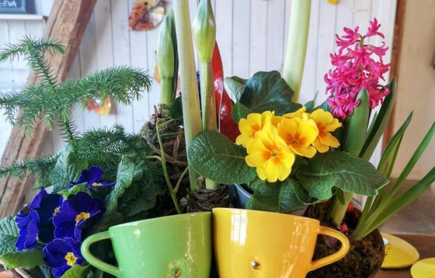 2 img 20220308 084952~2 resultat