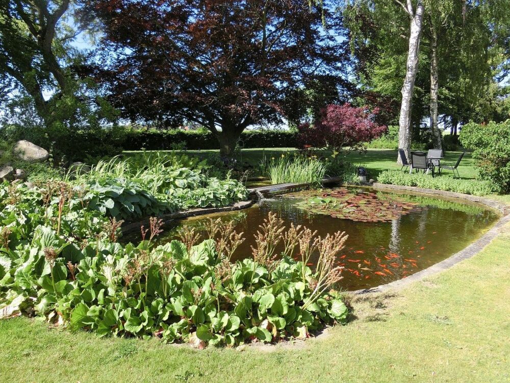 47 cimg0012 kopia 629712af5dc5387ee0acd88f resultat