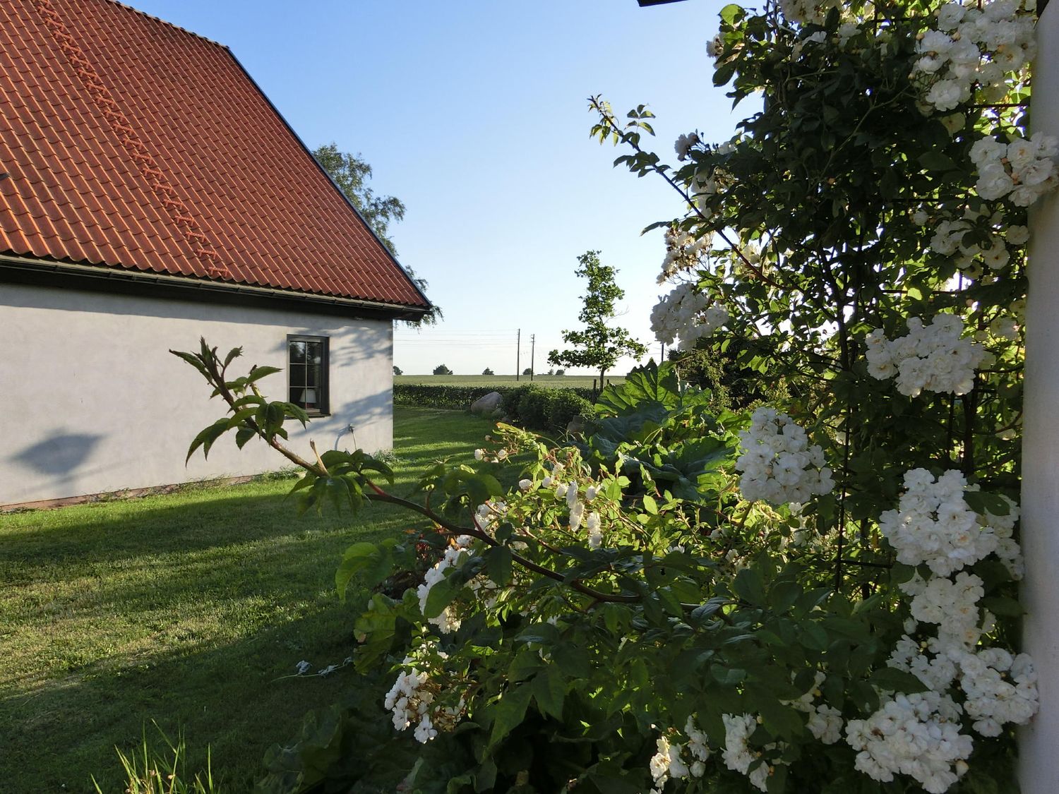 47 cimg0023 6297133c5dc5387ee0acd8a0 resultat