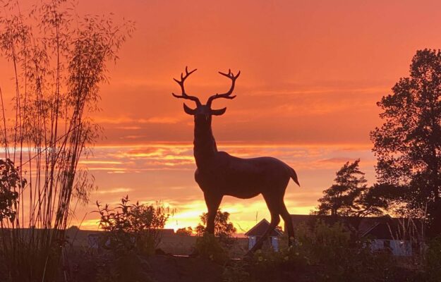 78279537 de83 44e3 9b59 191207f35901 62e118395dc5387ee0cfa256