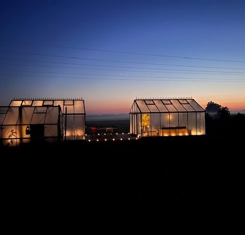 92. Upplysta växthus/uterum i skymningen