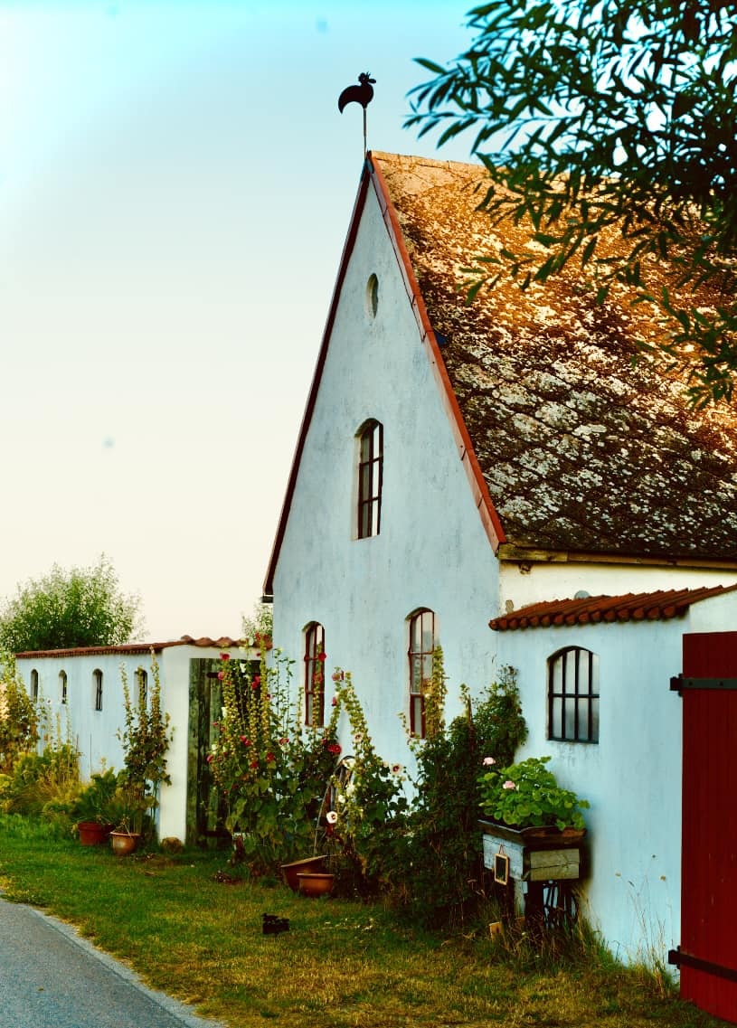 76 vita ladan front2023