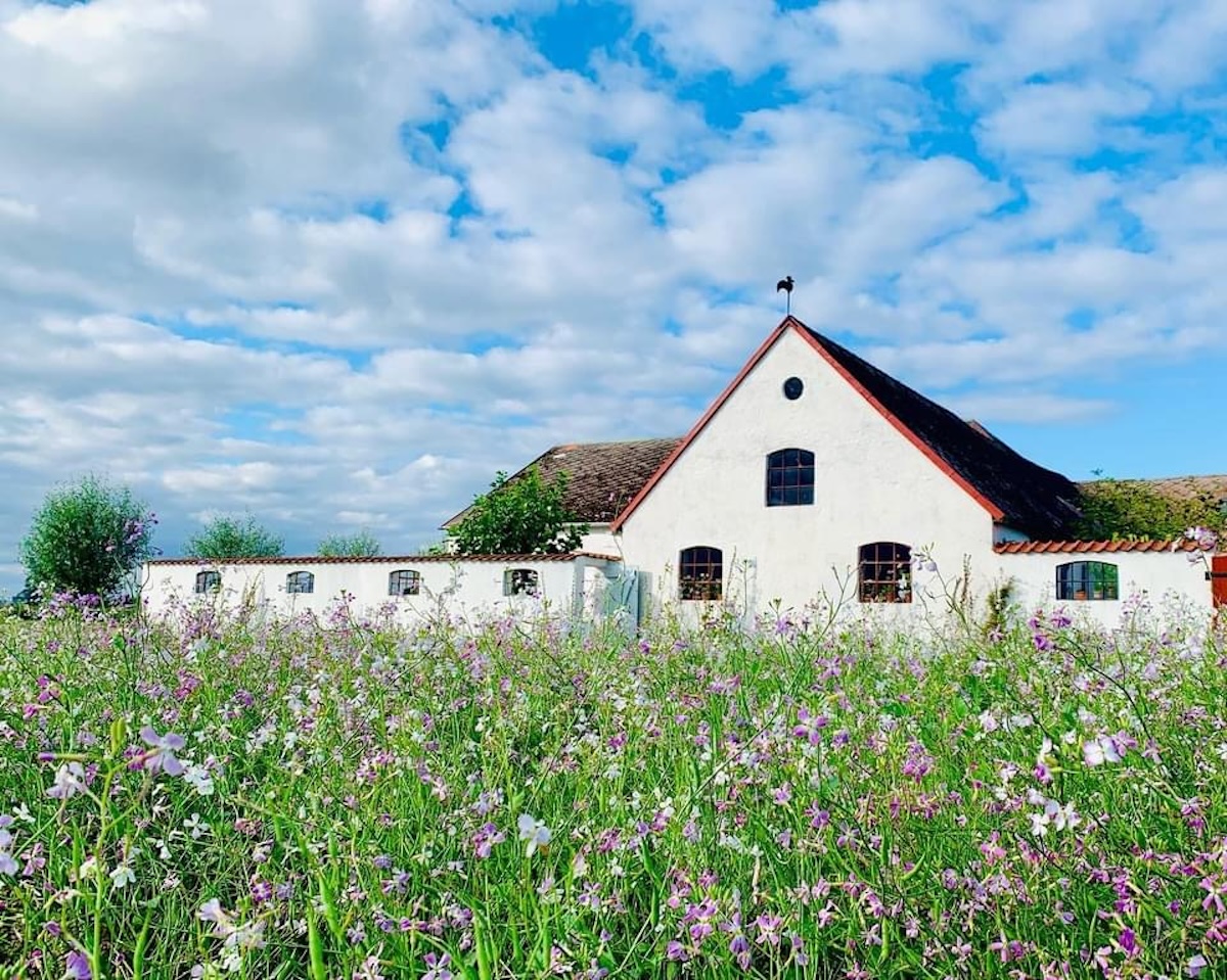 76 vita ladan sommar23