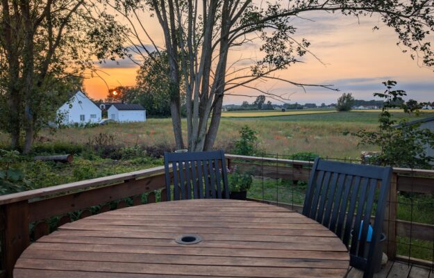 pxl 20250621 191933862 edit